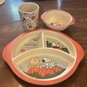 Peanuts Snoopy & Woodstock Halloween 3-Piece Children’s Melamine Dinnerware Set